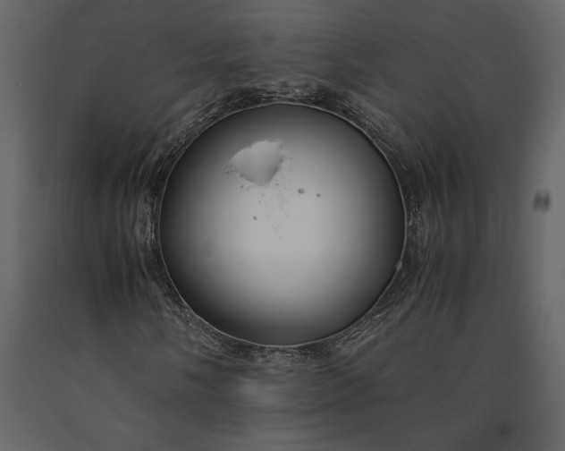 X0000091221058200708231625