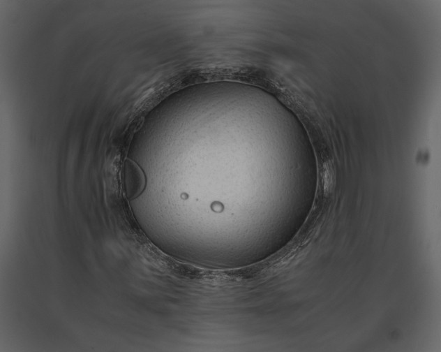 X0000091221059200708231625