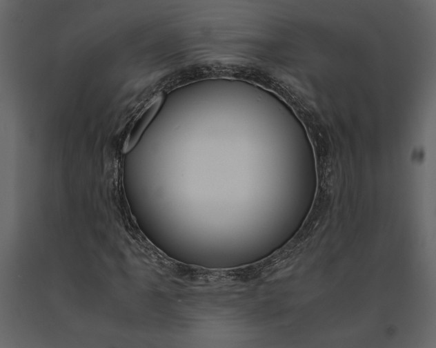 X0000091221061200708231625