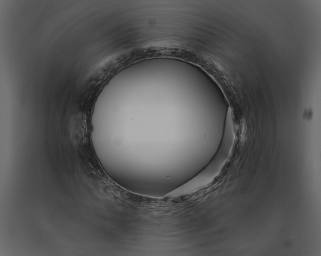 X0000091221062200708231625