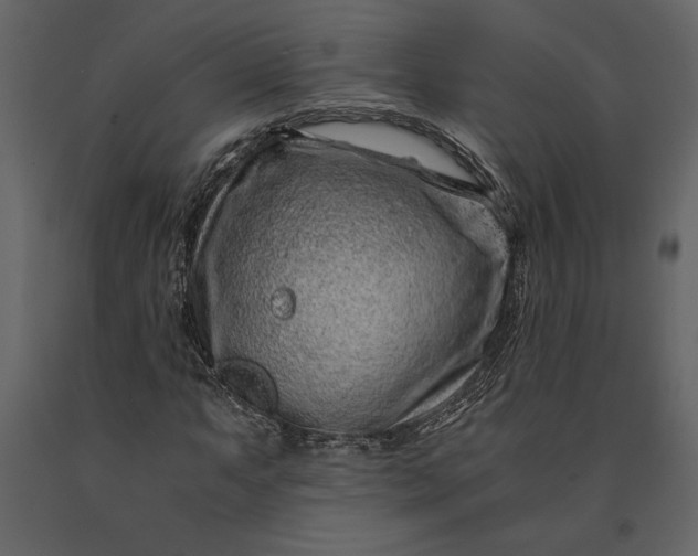 X0000091221063200708231625