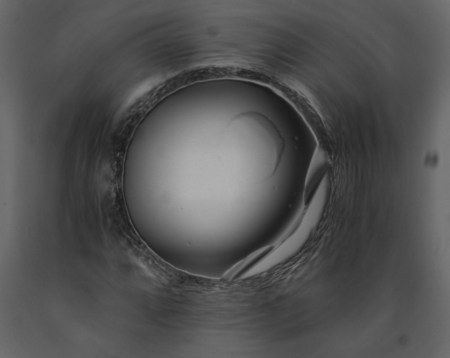 X0000091221064200708231625