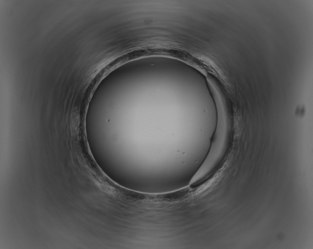 X0000091221065200708231625