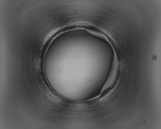 X0000091221066200708231625