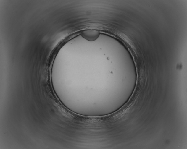 X0000091221067200708231625