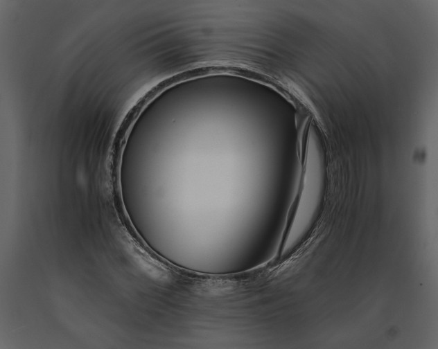 X0000091221068200708231625