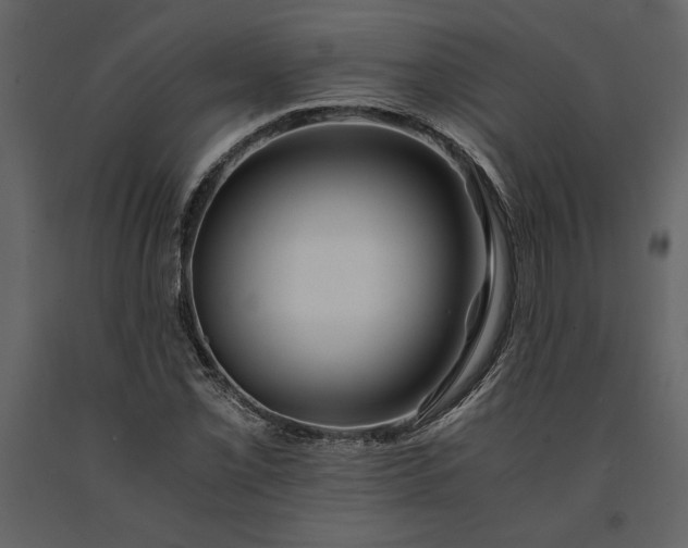 X0000091221069200708231625