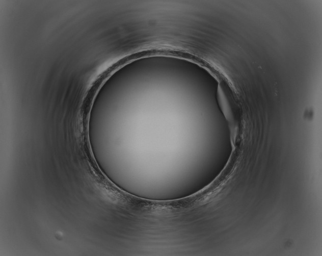 X0000091221070200708231625