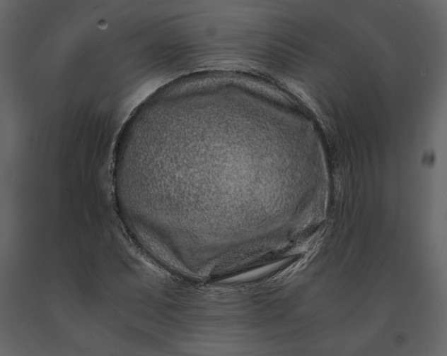 X0000091221071200708231625