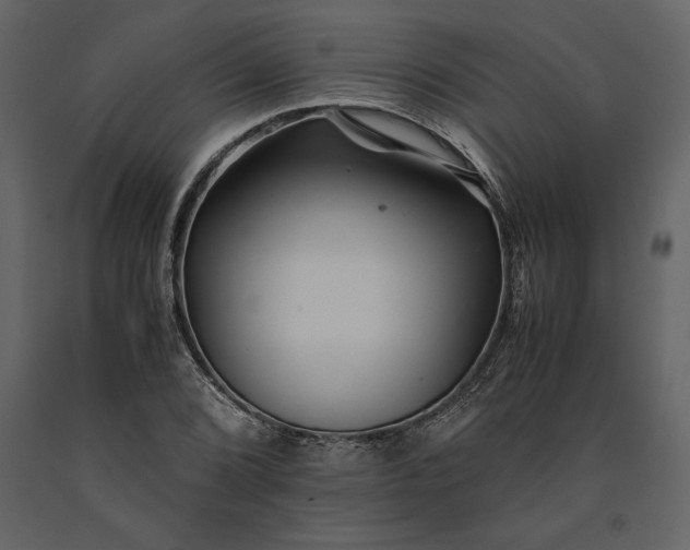 X0000091221072200708231625