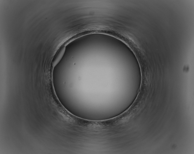 X0000091221073200708231625