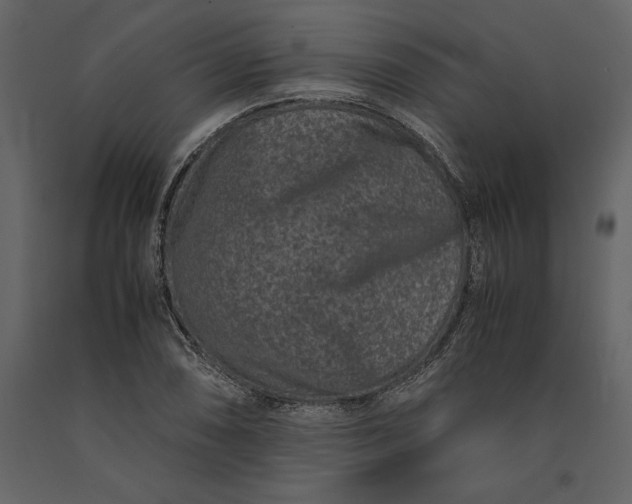 X0000091221074200708231625