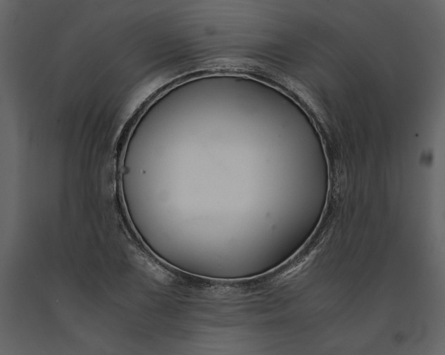 X0000091221075200708231625