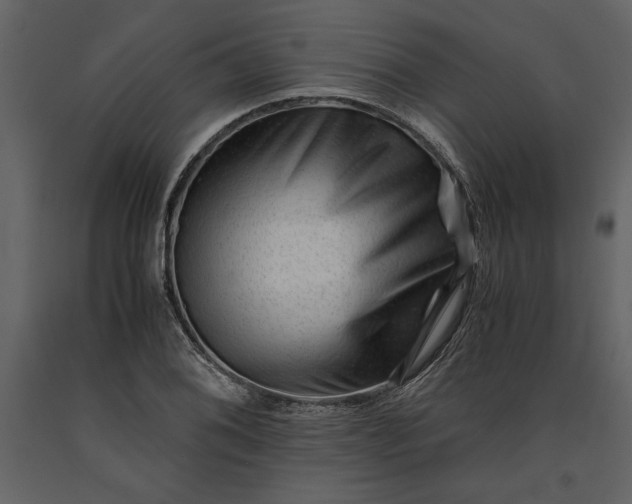 X0000091221076200708231625