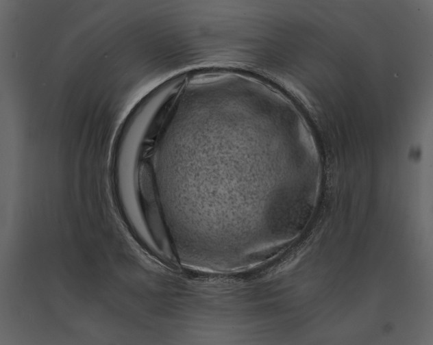 X0000091221077200708231625