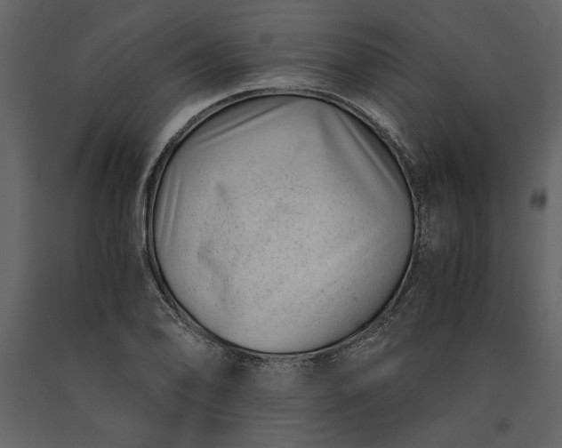 X0000091221078200708231625