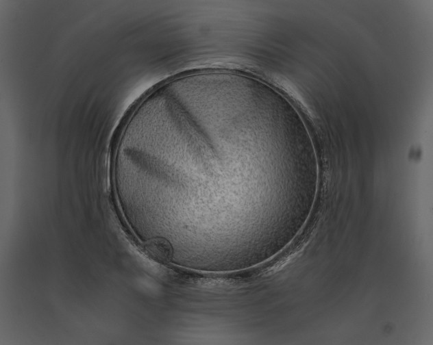 X0000091221079200708231625