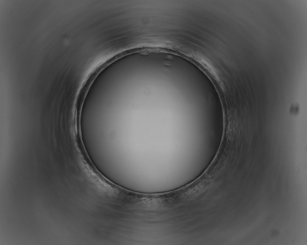 X0000091221080200708231625