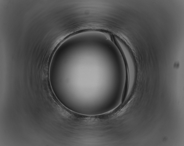 X0000091221081200708231625