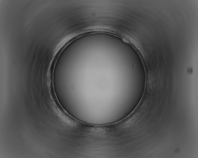 X0000091221082200708231625