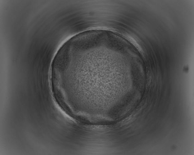 X0000091221084200708231625