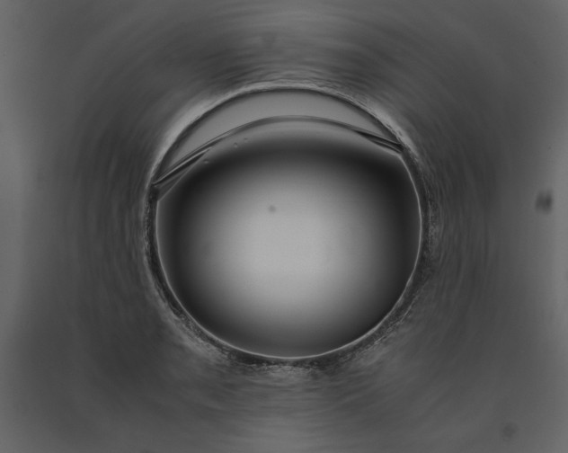 X0000091221085200708231625