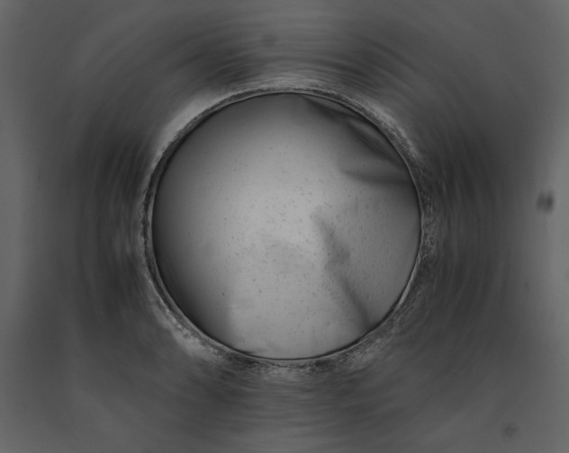 X0000091221086200708231625