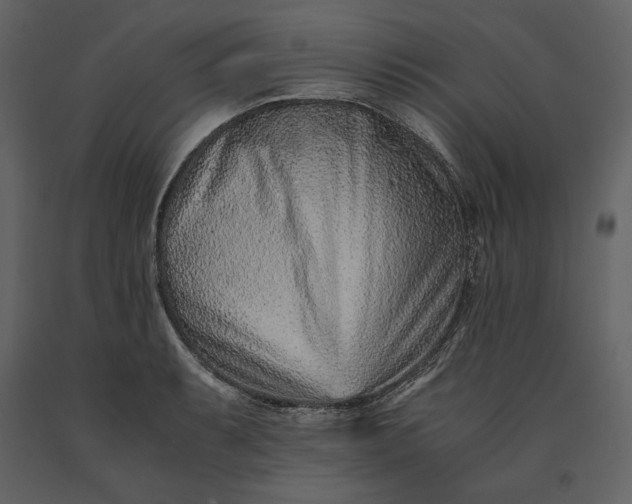 X0000091221087200708231625