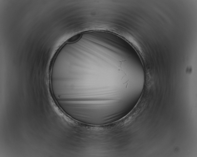 X0000091221088200708231625