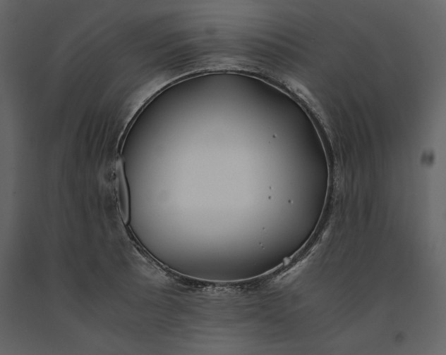 X0000091221089200708231625