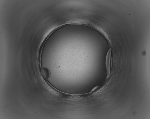 X0000091221091200708231625