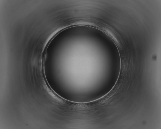 X0000091221092200708231625