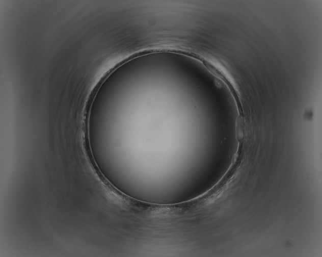 X0000091221093200708231625