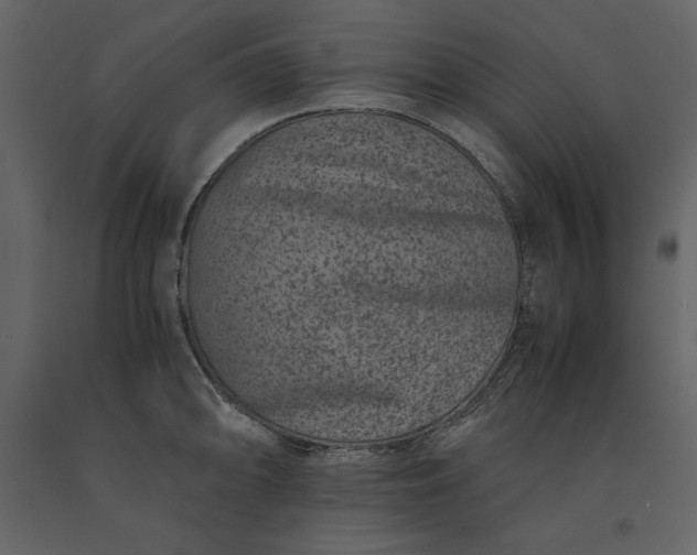 X0000091221094200708231625