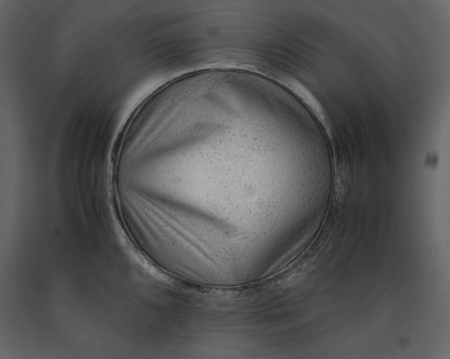 X0000091221096200708231625