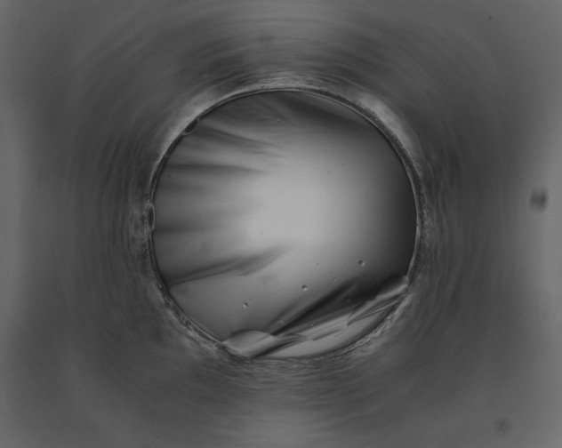 X0000091221097200708231625