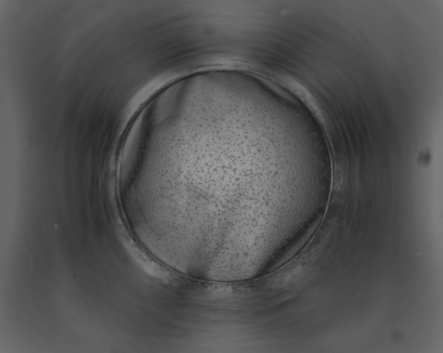 X0000091221098200708231625