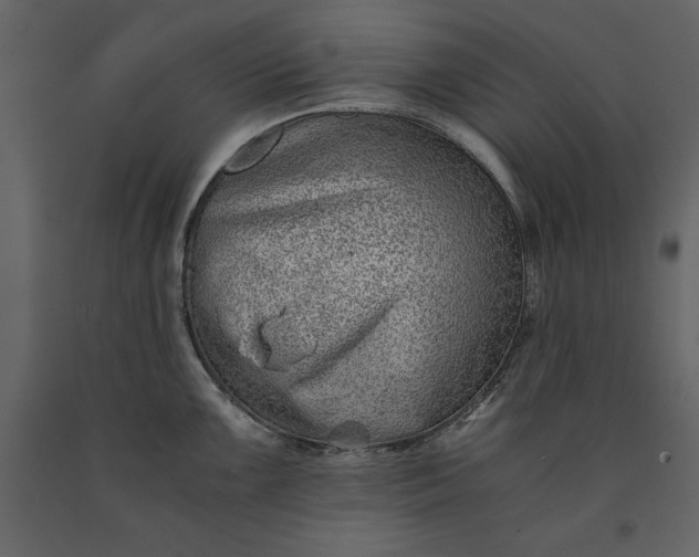 X0000091221099200708231625