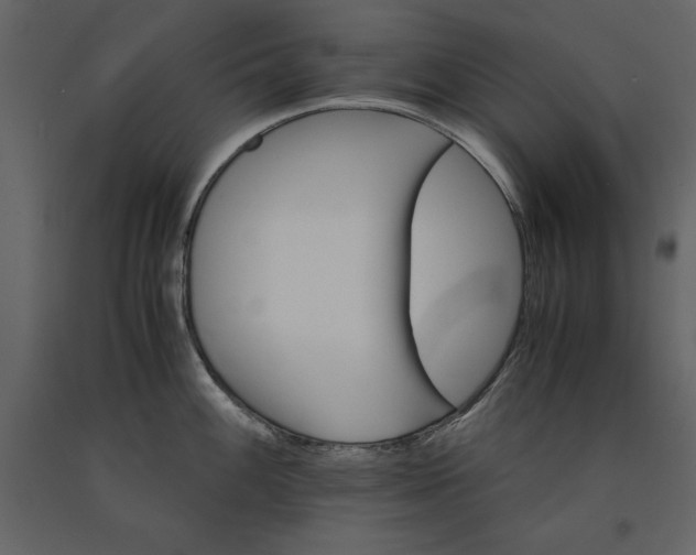 X0000091221100200708231625