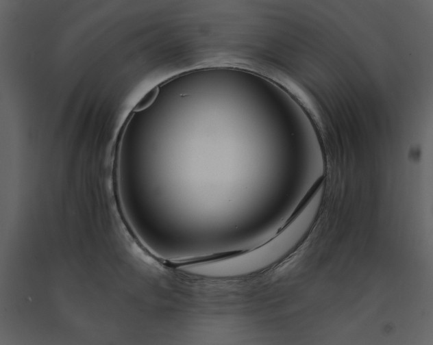 X0000091221102200708231625