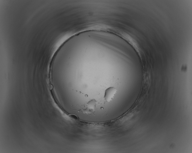 X0000091221103200708231625