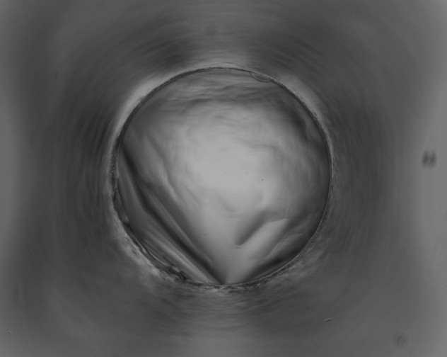 X0000091221104200708231625