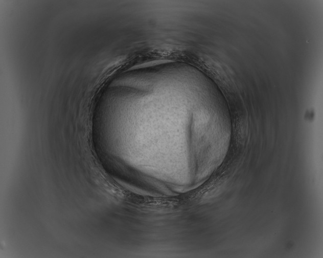 X0000091221105200708231624