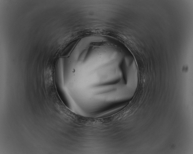 X0000091221106200708231624