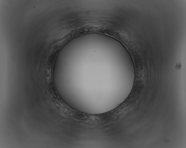 X0000091221109200708231624