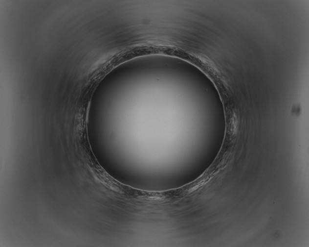 X0000091221110200708231624