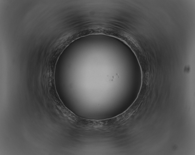 X0000091221111200708231624