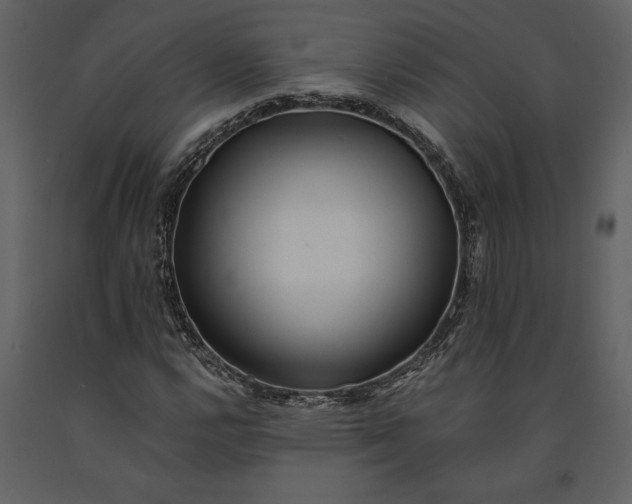 X0000091221112200708231624