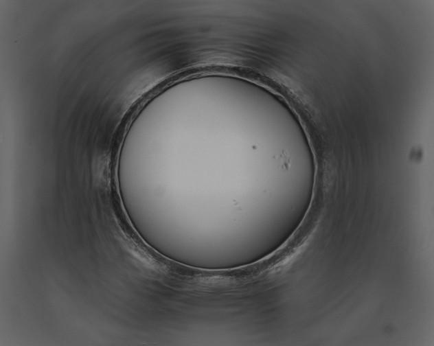 X0000091221113200708231624