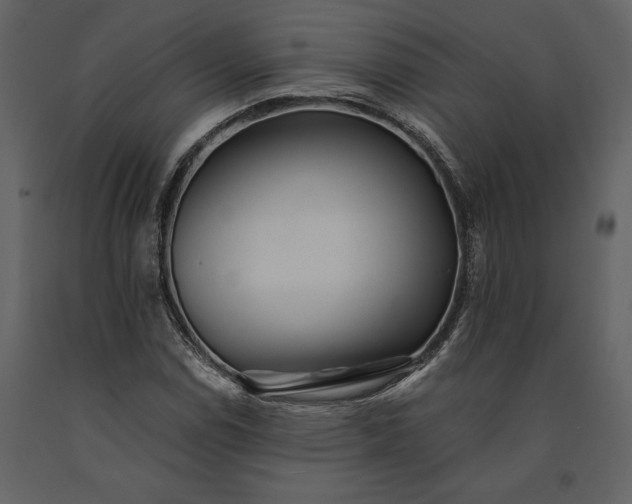 X0000091221114200708231624